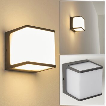 Applique murale d'extérieur Buckau LED Anthracite, Blanc, 1 lumière