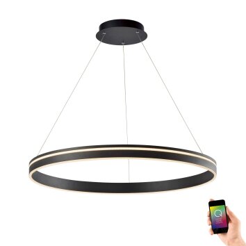 Suspension Paul Neuhaus Q-VITO LED Anthracite, 1 lumière, Télécommandes