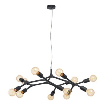 Suspension EGLO BOCADELLA Noir, 12 lumières