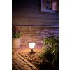 Borne lumineuse Philips Hue Ambiance White & Color Econic LED Noir, 1 lumière, Changeur de couleurs