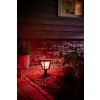 Borne lumineuse Philips Hue Ambiance White & Color Econic LED Noir, 1 lumière, Changeur de couleurs