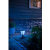 Borne lumineuse Philips Hue Ambiance White & Color Econic LED Noir, 1 lumière, Changeur de couleurs