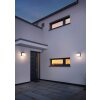 Applique murale d'extérieur Trio YANGTZE LED Anthracite, 1 lumière