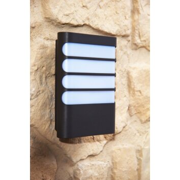 Applique murale Philips myGarden RACCOON LED Anthracite, 1 lumière