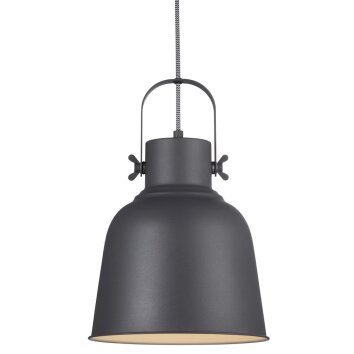 Suspension Nordlux ADRIAN Anthracite, 1 lumière