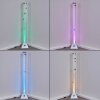 Lampadaire Wanas LED Titane, 1 lumière, Changeur de couleurs