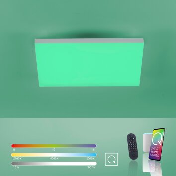 Plafonnier Paul Neuhaus Q-FLAG LED Blanc, 1 lumière, Télécommandes, Changeur de couleurs