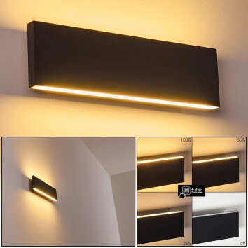 Applique murale Obion LED Anthracite, 2 lumières