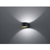 Applique murale Trio LACAPO LED Noir, 1 lumière