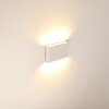 Applique murale d'extérieur Marsh LED Blanc, 2 lumières