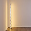 Lampadaire Nagold LED Chrome, Nickel mat, 1 lumière