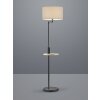 Lampadaire Trio Leuchten CLAAS Noir, 1 lumière