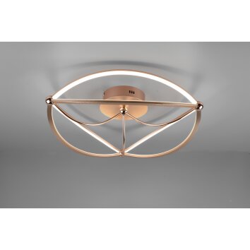 Plafonnier Trio Charivari LED Laiton, 1 lumière