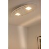 Plafonnier Evaluz Ellipse LED Blanc, 2 lumières