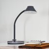 Lampe de table Shreveport LED Anthracite, Blanc, 1 lumière