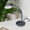 Lampe de table Shreveport LED Anthracite, Blanc, 1 lumière