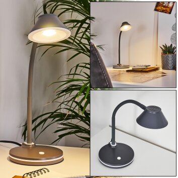 Lampe de table Shreveport LED Anthracite, Blanc, 1 lumière