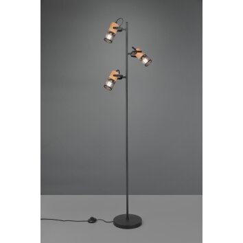 Lampadaire Trio Tosh LED Noir, 3 lumières