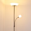 Lampadaire Gismaro Nickel mat, 3 lumières