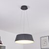 Suspension Fremont LED Gris, 1 lumière, Télécommandes